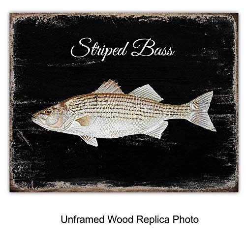 Vintage Bass Fishing Patent Print Set - Rustic Freshwater Lake or