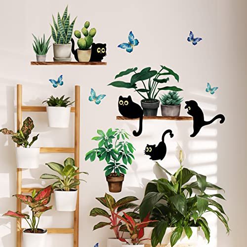 Khayrovies Black Cats Potted Plant Wall Decals, Tropical Green Plant Leaf  Cactus Cartoon Cat Wall Stickers, Botanical Bonsai Wallpaper Home D Cor Fo  - Imported Products from USA - iBhejo