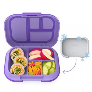 Bentology Bento Lunch Box Set w/ 5 Removable, Leak Proof Containers,  On-the-Go Meal, Food Prep & Snack Packing Compartments - Stackable,  Microwave