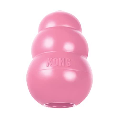 Extra hotsell small kong