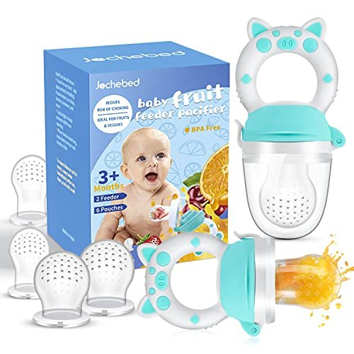 Teething best sale fruit pacifier