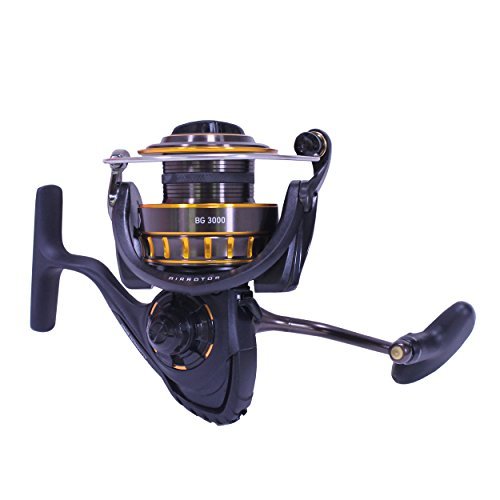 Daiwa Bg5000 Bg Saltwater Spinning Reel, 5000, 5.7: 1 Gear Ratio, 6+1  Bearings, 47.40 Retrieve Rate, 22 Lb Max Drag,Black/Gold - Imported  Products from USA - iBhejo