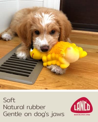 Sensory dog outlet toys