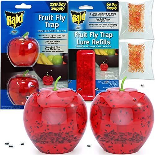  The Ultimate Fruit Fly Trap (Pack of 2) - Indoor Kitchen  Non-Toxic Reusable Traps Catches or Kills Fruit Flies with Natural Bait or  Lure : Patio, Lawn & Garden