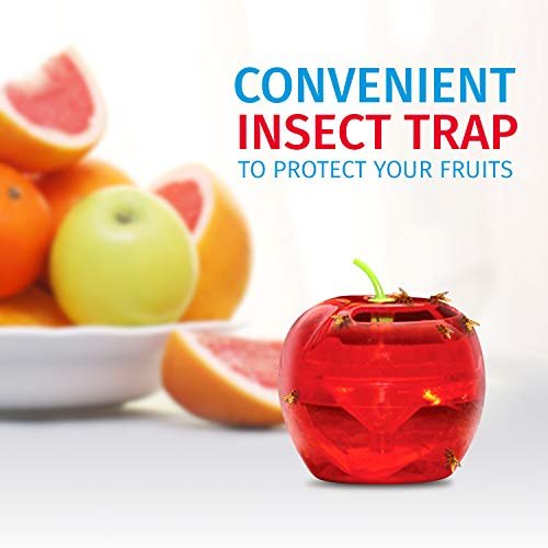  The Ultimate Fruit Fly Trap for Indoors Kitchen Non-Toxic  Reusable Traps Catches or Kills Fruit Flies with Natural Bait or Lure :  Patio, Lawn & Garden