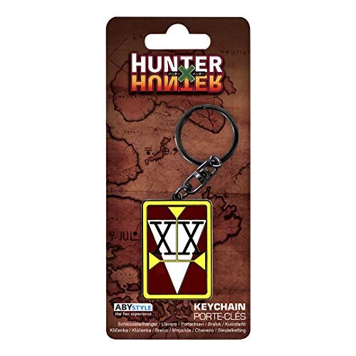 Amazon.com : Anime Cosplay Anime License Card PVC Card Anime Cosplay Hunter  x Hunter License Design (First) : Office Products