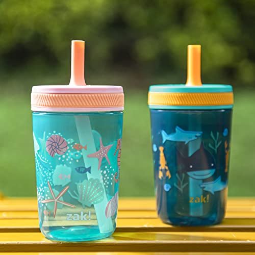 Zak Designs Kelso 15 oz Tumbler Set, (Shells) Non-BPA Leak-Proof Screw-On  Lid with Straw Made of Durable Plastic and Silicone, Perfect Baby Cup Bundl  - Imported Products from USA - iBhejo