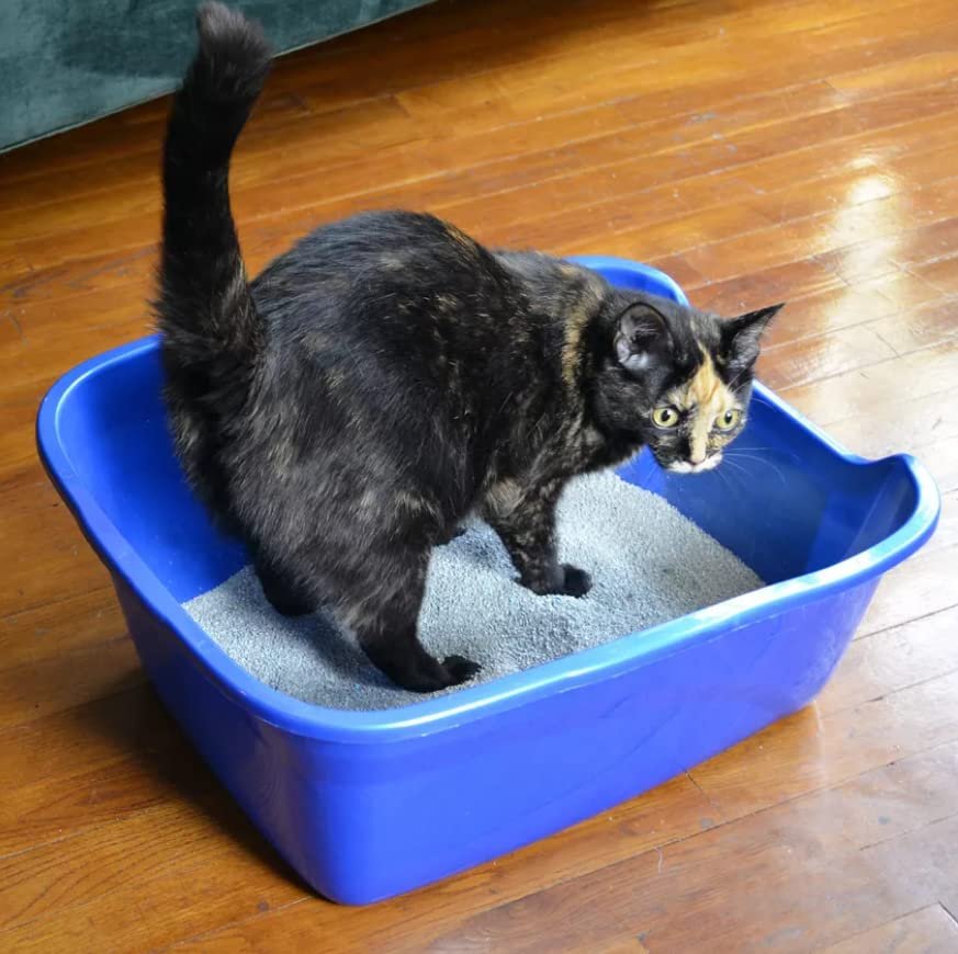 Van ness high sales sided litter box