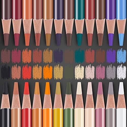 Caran D'Ache Luminance Colored Pencil Set of 40 (6901.740)