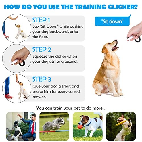 Dog Training Clicker Single