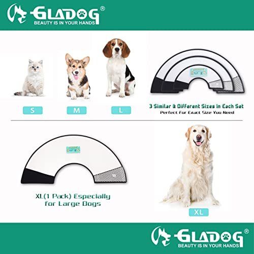 Dog plastic outlet cone collar