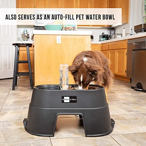 OurPets Comfort Diner Elevated Dog Food Dish (Raised Dog Bowls Available in  4 inches, 8 inches and 12 inches for Large Dogs, Medium Dogs and Small  Dogs), 4-inch 