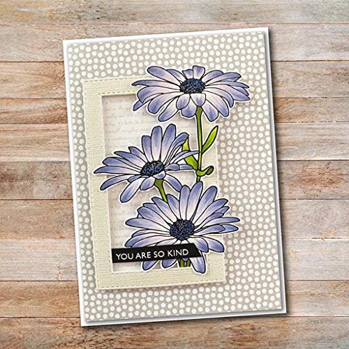Lottoy Cute Chamomile Silicone Clear Stamp And Die Sets For Card Making,  Diy Embossing Photo Album Decorative Craft - Imported Products from USA -  iBhejo