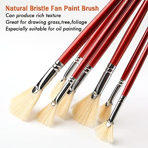 Fan Paint Brush