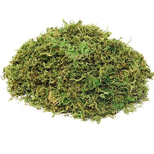 Fake Moss Artificial Moss For Potted Plants Greenery Moss(4Oz) Home Decor  Fairy Garden Crafts Wedding Decoration (Fresh Green) - Imported Products  from USA - iBhejo