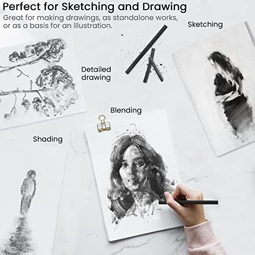 LOONENG Willow Charcoal Sticks, Natural Willow Charcoal for Artists,  Beginners, or Students of All Skill Levels, Great for Sketching, Drawing,  and