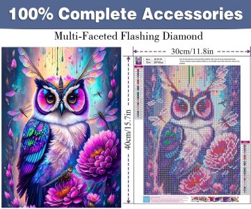 JOCARALY 2 Pack DIY 5D Diamond Painting Kits Eevee for Adults Full Drill Cartoon Diamond Art Kits Anime Paint by Numbers Diamond Dots Kits for