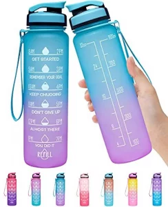 Infusion Fruit Infuser Water Bottle - BPA Free Insulated Water