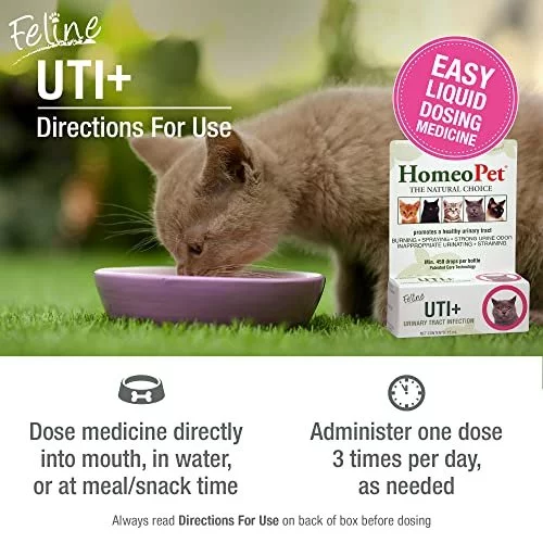 Homeopet Uti Plus Urinary Tract Infection Urinary Tract Support For Cats 15 Milliliters Imported Products from USA iBhejo