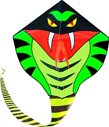 Hengda Kite 49Ft Large Power Snake Kites For Kids & Adults, With Flying  Line Outdoor Fun Sports Kite - Imported Products from USA - iBhejo