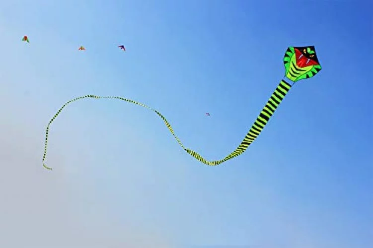 Hengda Kite 49Ft Large Power Snake Kites For Kids & Adults, With