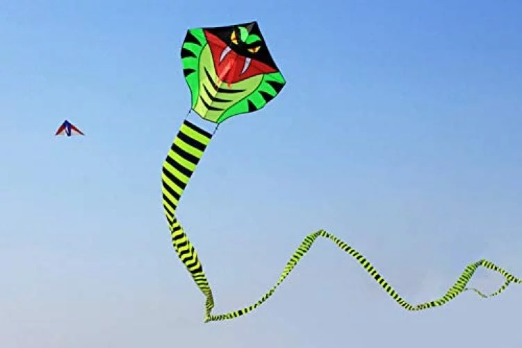 Hengda Kite 49Ft Large Power Snake Kites For Kids & Adults, With
