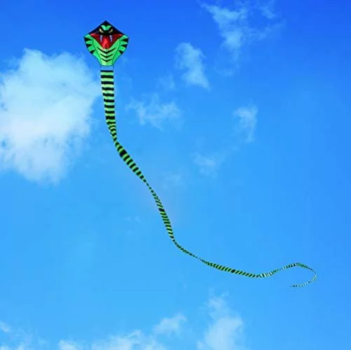 Hengda Kite 49Ft Large Power Snake Kites For Kids & Adults, With Flying Line  Outdoor Fun Sports Kite - Imported Products from USA - iBhejo