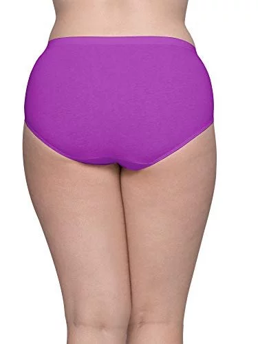  Fruit Of The Loom Womens Tag Free Cotton Brief Panties