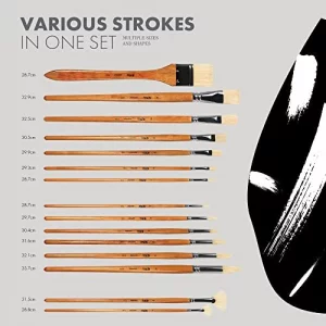 ARTIFY 15-Piece Natural Hog Bristle Paint Brush Set - Oil & Acrylic Painting, Long Handle