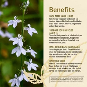 Herbamama Lobelia Tincture - Organic Lobelia Herb Liquid Drops ...