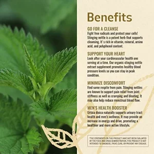 Herbamama Stinging Nettle Root Tincture Organic Stinging Nettle