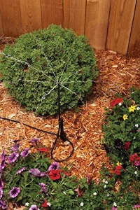 Rain Bird Mbstktf1S Drip Irrigation Micro-Bubbler, Adjustable Height Staked Riser With 1/4