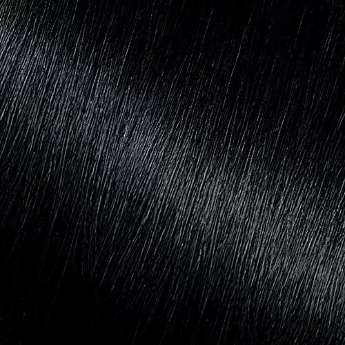  Garnier Hair Color Nutrisse Nourishing Creme, 11 Blackest  Black (Peppercorn) Permanent Hair Dye, 2 Count (Packaging May Vary) :  Beauty & Personal Care