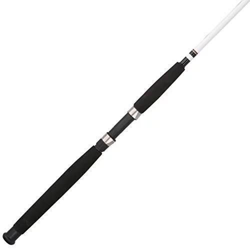 Wakeman Swarm Series Spinning Rod and Reel Combo
