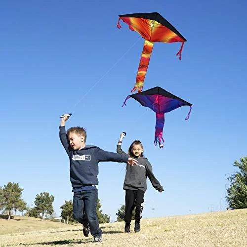 Joyin 3 Packs Delta Rainbow Kite Warm And Cold Color Easy To Fly Huge Kites  For Kids And Adults With 262.5 Ft Kite String, Large Delta Beach Kite For -  Imported Products