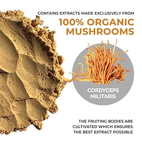 Cordyceps Mushroom Supplement for Mental Clarity and Energy