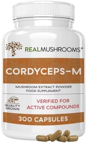 High-Quality Cordyceps Mushroom Extract