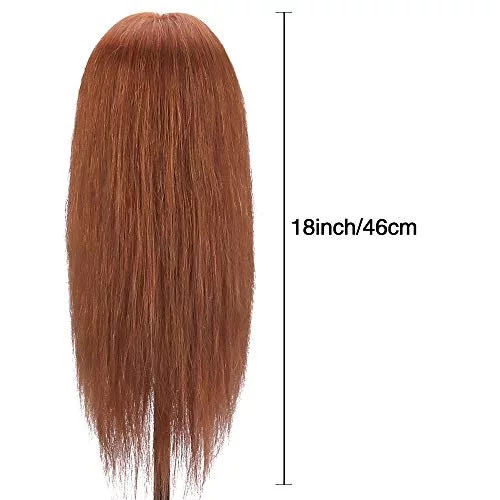 Baal Human Hair Lace Closure Wigs For Women Full Head Wig Brown 14 Pack Of  1(Free Hair Brush+ 4 Pcs Wig Clips)