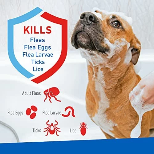 Flea and tick medicine for cats with sensitive skin best sale