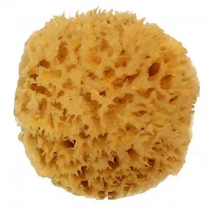 Natural Sea Wool Sponge 4-5