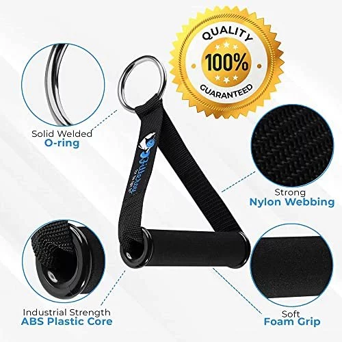 Fitteroy best sale