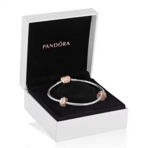 PANDORA Pandora Rose Heart Clasp, Iconic Gift Set PANDORA Rose Gift Set, Size 19cm, 7.5 inches - B801514-19