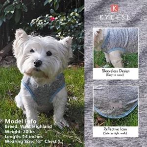 Kyeese 2 Pack Dog Shirts Quick Dry Soft Stretchy Pet T-Shirts With Reflective Label Tank Top Sleeveless Vest Sun Protection Dog Clothes For Small Dog