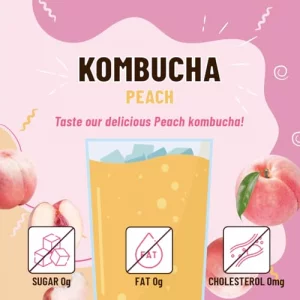 Kayfood-Kombucha-Peach-Garden-Daily Zero Sugar Diet Gut Healthy Sparkling Beverage Fermented Korean Drinks For Iced Hot Workout Tea 10St 10St Peach