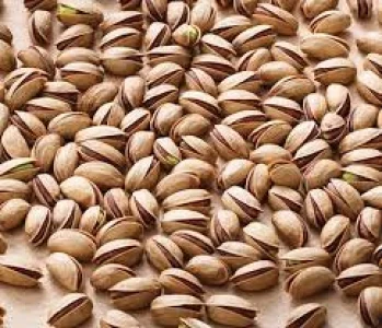 Tadim 7.1 Oz Pistachio Nuts Roasted