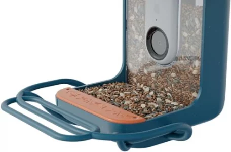 Bird Buddy Blue Perch Extender Add-On Accessory For Better Bird Watching Experience - Outdoor Bird Perch For Feeding Multiple Birds - Weatherproof A