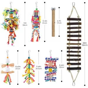 Katumo Bird Toys Parakeet Swing Parrot Ladder Cockatiel Perch Conure Hanging Bell Toys For Parakeet Conure Cockatiel Mynah Love Bird Small Birds