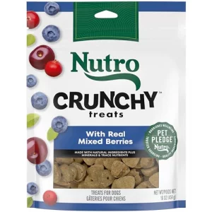 Nutro Crunchy Dog Treats With Real Mixed Berries 16 Oz. Bag
