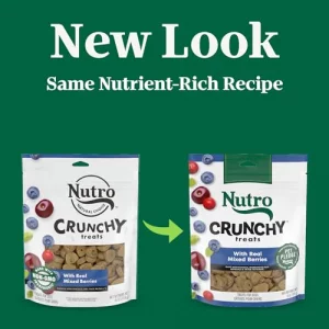 Nutro Crunchy Dog Treats With Real Mixed Berries 16 Oz. Bag