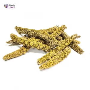 Birds Love Millet Tips Tails For Birds - Parakeets Cockatiels Lovebirds Finches Budgies Canaries Cockatoos - Natural Healthy Millet For Birds - Par